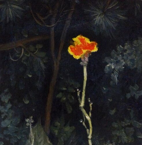 000004_2017_Flower_at_the_Beach_House