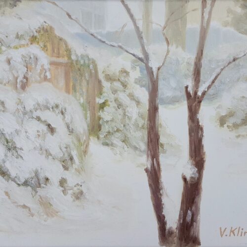 000007_2019_Backyard_on_a_Snowy_Day
