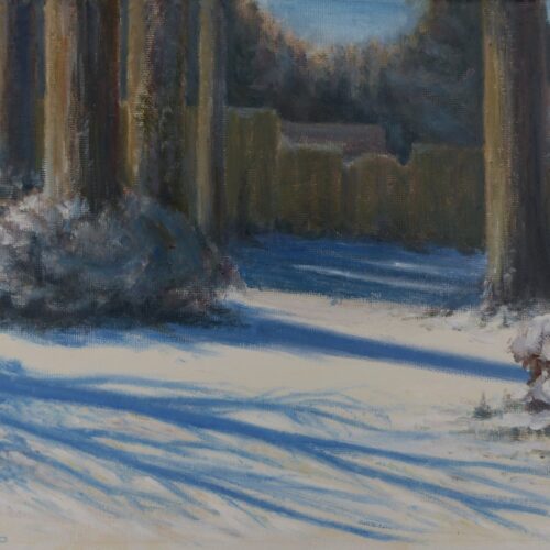 000008_2019_Backyard_on_a_Frosty_Morning