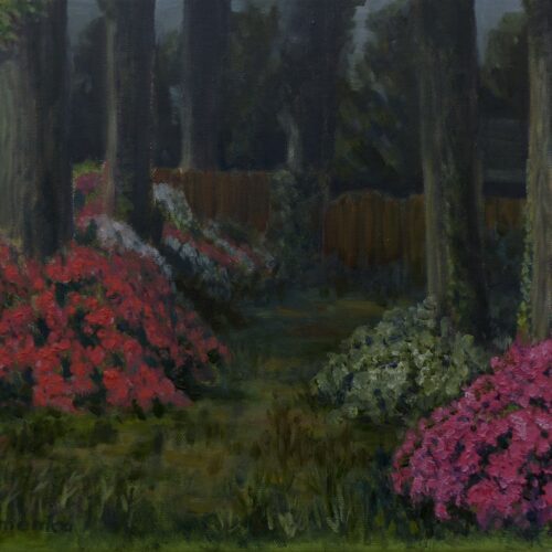 000009_2019_Azaleas_in_the_Backyard