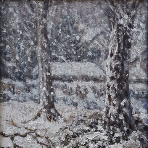 000028_2021_Snow