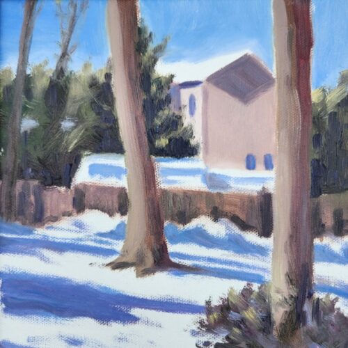 000033_2022_Bright_January_Morning_After_a_Snowstorm