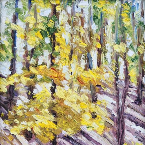 000037_2022_Sunlight_in_a_Pine_Forest_in_October