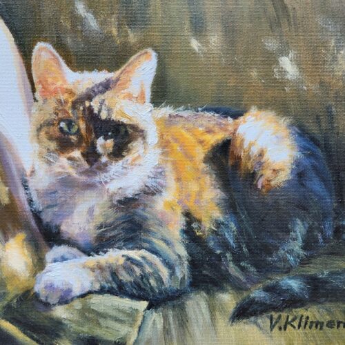 000046_2025_Kitty_in_the_Sun